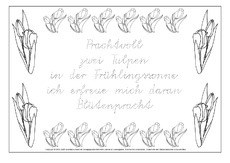Tulpe-Elfchen-2-VAS.pdf